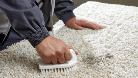 Professional Rug Cleaning Princes Hill